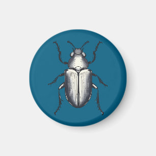 Aimant Beetle