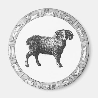Aimant Bélier dans une bague de zodiac
