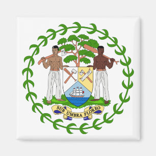Aimant belize emblze