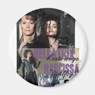 Aimant Bellatrix Lestrange and Narcissa Malfoy