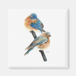 Aimant Belle Aquarelle Bluebird Couple Art