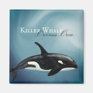 Aimant Belle Aquarelle Tueuse Baleine, Orcinus Orca