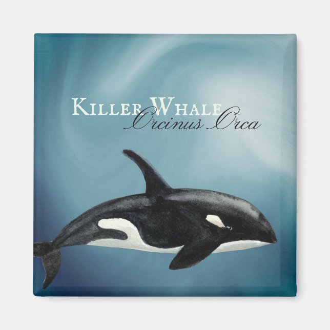 Aimant Belle Aquarelle Tueuse Baleine, Orcinus Orca (Devant)