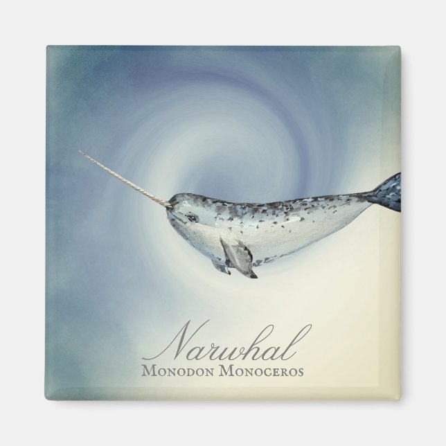 Aimant Belle baleine Narwhal, Monodon Monoceros (Devant)
