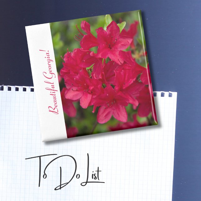 Aimant Belle Fleur d'Etat Géorgie~ Azalea (Créateur téléchargé)