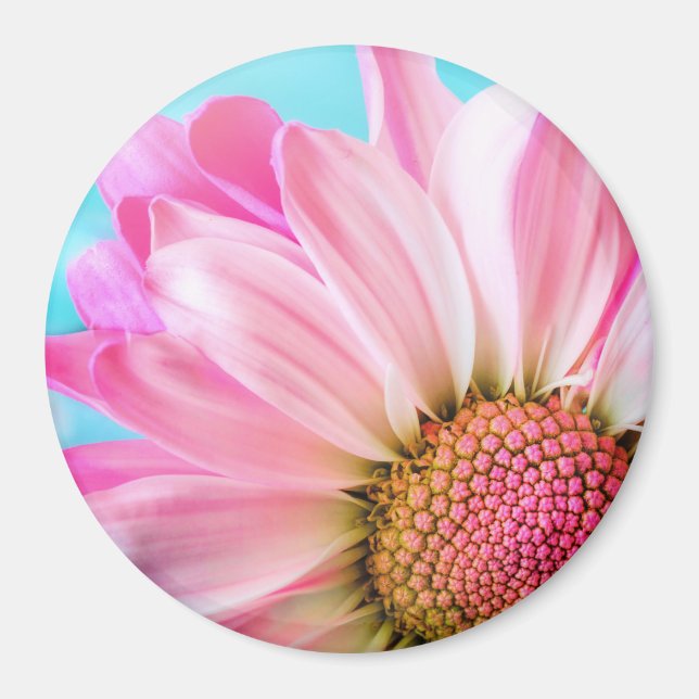 Aimant Belle Fleur rose Gros plan Photo (Devant)