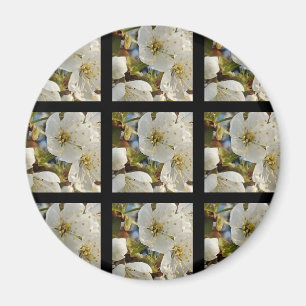 Aimant Belle Grille Springflower