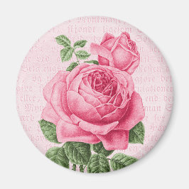 Aimant Belle rose rose vintage