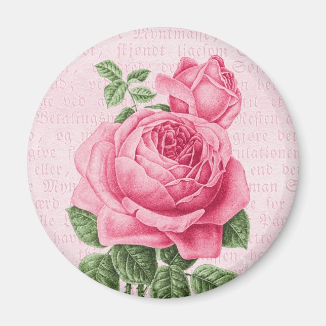 Aimant Belle rose rose vintage (Devant)