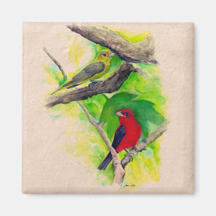 Aimant Belle Scarlet Tanagers Oiseaux Peinture