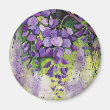 Belles Fleurs De Wisteria Dans Aquarelle