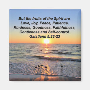 AIMANT BELLES GALATIENNES 5 SOLEIL