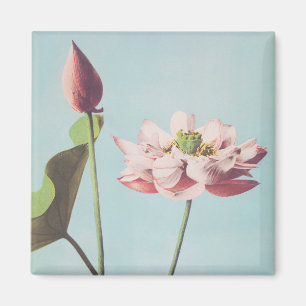Aimant Belles impressions photomécaniques de Lotus Flowe