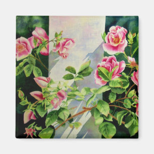 Aimant Belles roses roses roses, roses rouges, aquarelle 