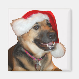 Aimant Berger allemand portant un Casquette du Père Noël