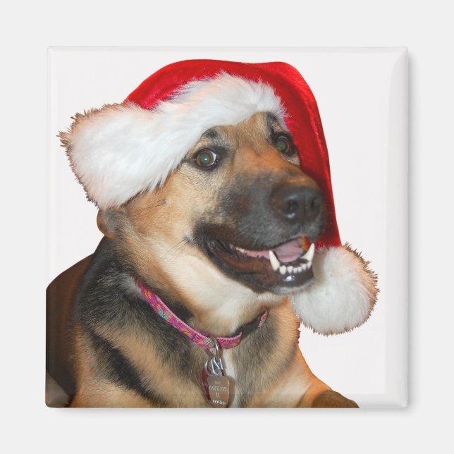 Aimant Berger allemand portant un Casquette du Père Noël (Devant)
