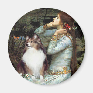 Aimant Berger des Shetland 18 - Ophelia assise