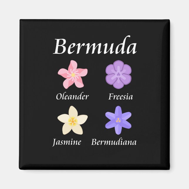 Aimant Bermudes - Icônes de fleurs nommées couleur (Devant)