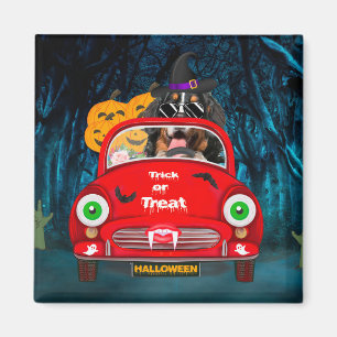 Aimant Bernois Mountain Dog voiture voiture effrayant Hal