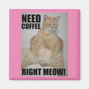 Aimant BESOIN DE CAFÉ DROITE ! Manx Chat assis drôle