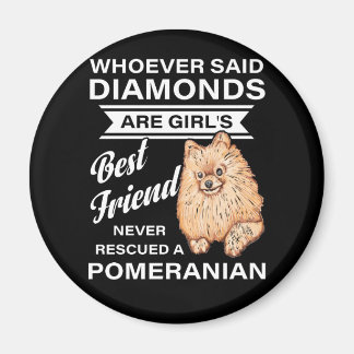 Aimant Best Friend Bever Secourt Un Poméranien Qui Sai