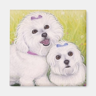 Aimant Bichon Babies