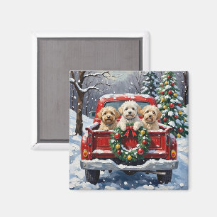 Aimant Bichon Frise Noël Camion Rouge Fêtes