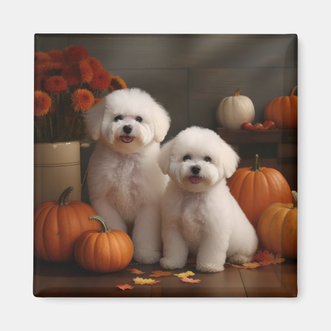 Aimant Bichon Frise Puppy Automne Citrouille délice (Devant)