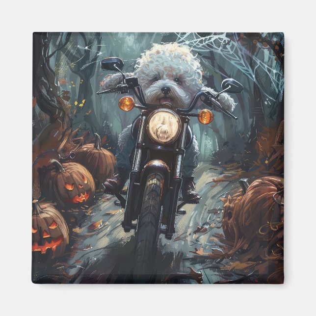 Aimant Bichon Frise Riding Moto Halloween Scandale (Devant)