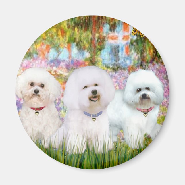 Aimant Bichon Frise Trio - Jardin (VG) (Devant)