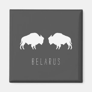 Aimant Biélorussie Bison Blanc Зубр Беларусь Voyage
