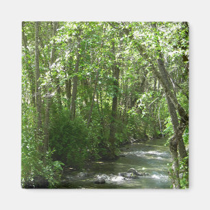 Aimant Big Creek en été.....