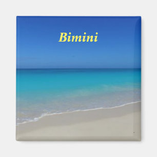 Aimant Bimini