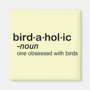 Aimant bird a hol a