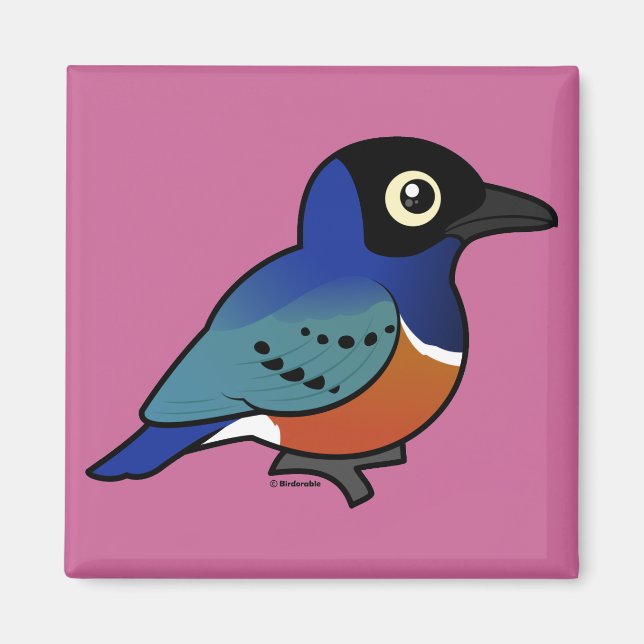 Aimant Birdorable Superbe Starling (Devant)