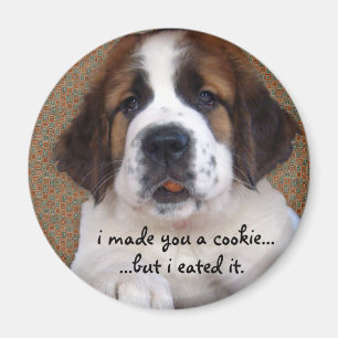 Aimant Biscuit de chiot de St Bernard