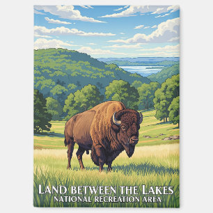 Aimant Bison dans la terre entre les lacs Kentucky