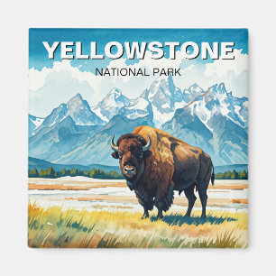 Aimant Bison dans le parc national de Yellowstone