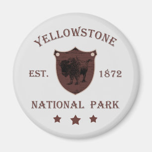 Aimant Bison Parc national de Yellowstone