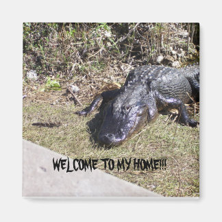 Aimant Black Alligator vous souhaite la bienvenue chez lu