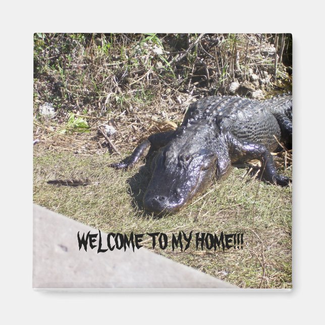 Aimant Black Alligator vous souhaite la bienvenue chez lu (Devant)