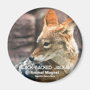 Aimant Black-backed Jackal