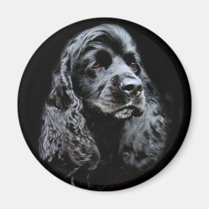 Aimant Black Cocker Spaniel