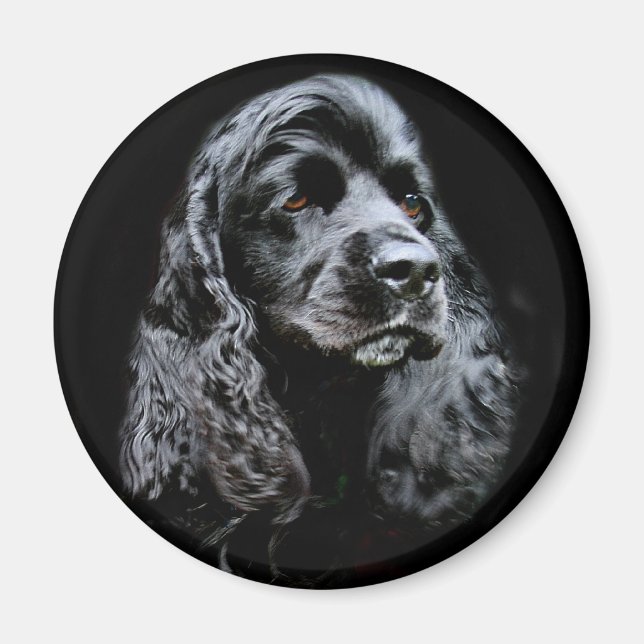 Aimant Black Cocker Spaniel (Devant)