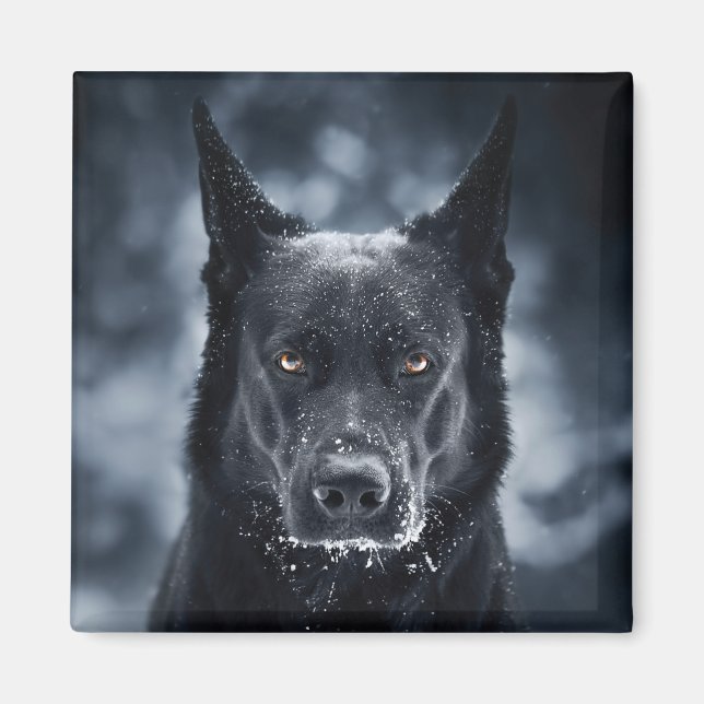 Aimant Black German Shepherd (Devant)