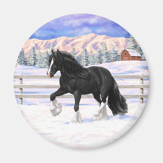 Aimant Black Gypsy Vanner Irlandais Cob Brouillon Cheval  (Devant)