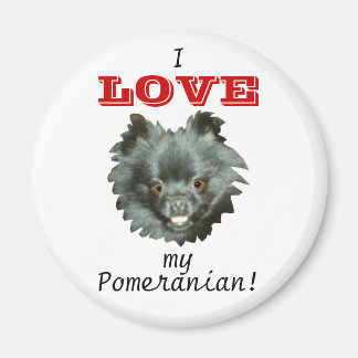 Aimant Black Pomeranian-I LOVE my Pomeranian!