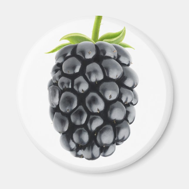 Aimant Blackberry (Devant)
