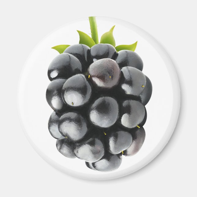 Aimant Blackberry (Devant)