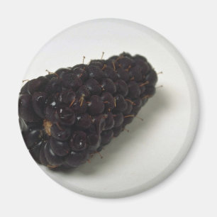Aimant Blackberry délicieux